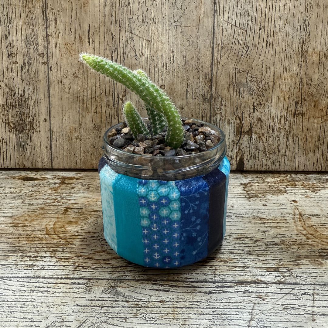 Cactus in a decorative pot with blue patterned wrap on a wooden surface