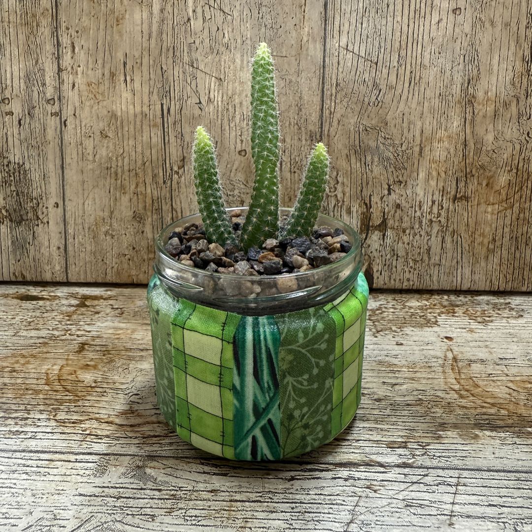 Cactus in a decorative pot on a wooden surface