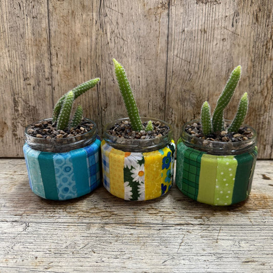 Three small potted plants in colorful fabric-wrapped jars on a wooden surface.